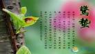 与惊蛰有关的舞蹈儿童视频六一,儿童舞蹈视频